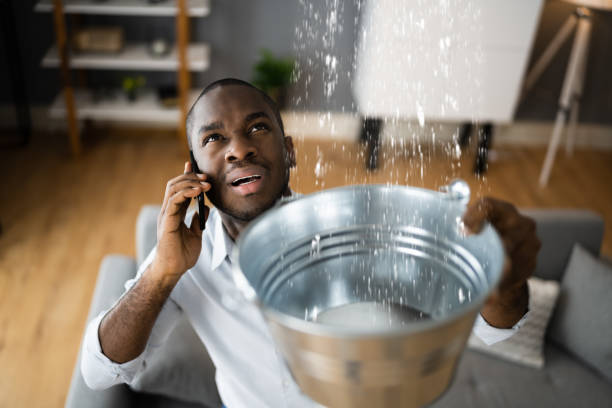 Best Sewage cleanup and water damage restoration  in Berryville, AR