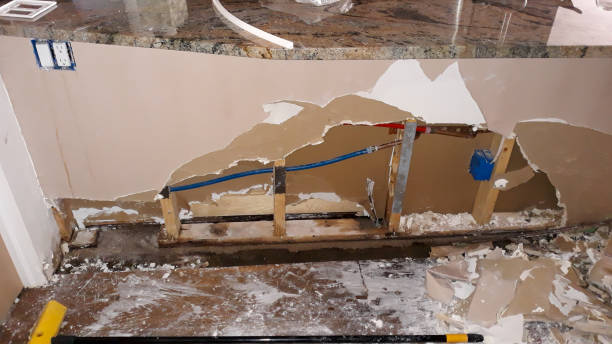 Best Water damage mitigation services  in Berryville, AR
