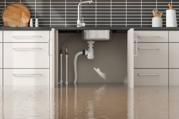Best Flood restoration services  in Berryville, AR